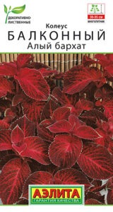 Колеус балконный Алый бархат