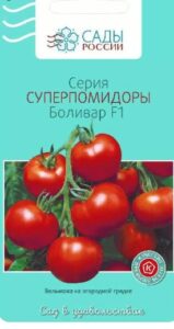 Помидор Боливар F1