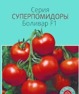 Помидор Боливар F1