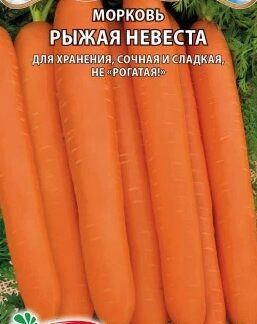 Морковь Рыжая невеста