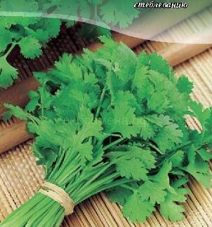 Кориандр Армянский