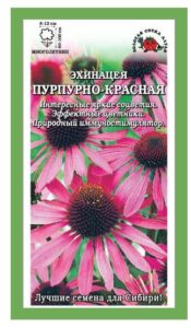 Эхинацея пурпурно- красная