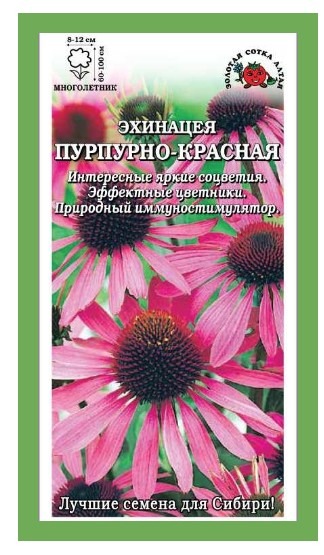 Эхинацея пурпурно- красная