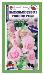 Львиный зев Твинни Роуз F1