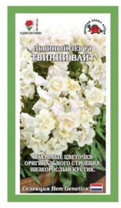 Львиный зев Твинни Вайт