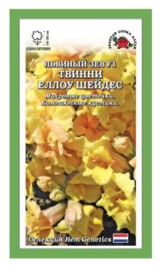 Львиный зев Твинни Еллоу Шейдс F1