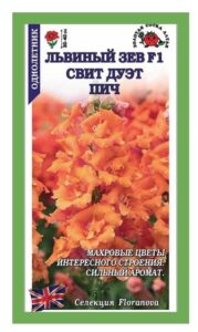 Львиный зев Свит Дуэт пич