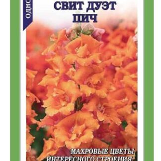 Львиный зев Свит Дуэт пич