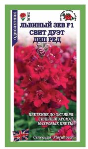 Львиный зев Свит Дуэт Дип ред