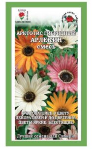 Арктотис Арлекин