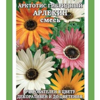 Арктотис Арлекин