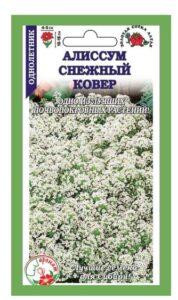 Алиссум Снежный ковер