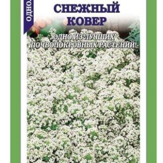 Алиссум Снежный ковер