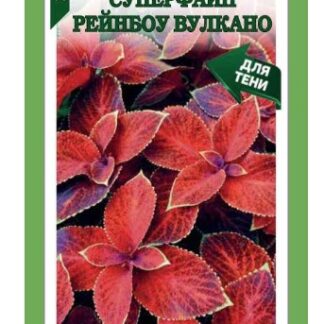 Колеус Суперфайн Рейнбоу Вулкано
