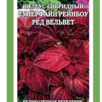 Колеус Суперфайн Рейнбоу Ред Вельвет