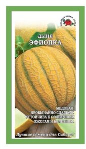 Дыня Эфиопка