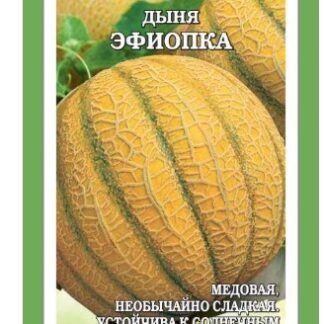 Дыня Эфиопка