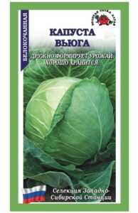 Капуста белокочанная Вьюга
