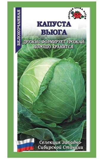 Капуста белокочанная Вьюга