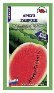 Арбуз Гаврош