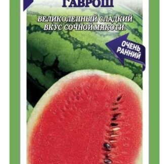 Арбуз Гаврош