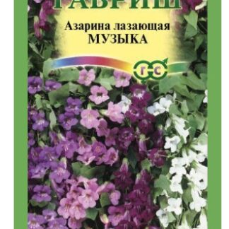 Азарина Музыка Смесь