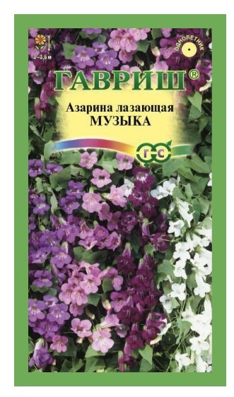 Азарина Музыка Смесь