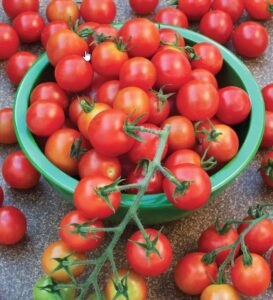 Томат коллекционный Карамелька