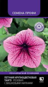 Петуния крупноцветковая Танго Розовая с вишневыми жилками