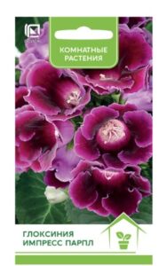 Глоксиния Импресс Парпл