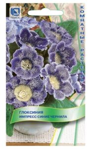 Глоксиния Импресс Синие чернила