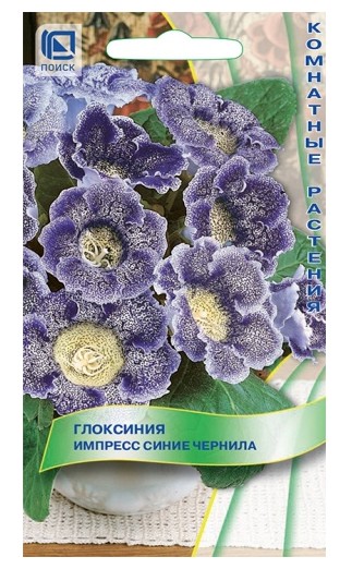 Глоксиния Импресс Синие чернила