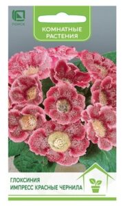 Глоксиния Импресс Красные чернила