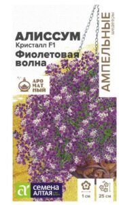 Алиссум Кристалл F1 Фиолетовая Волна ампельный
