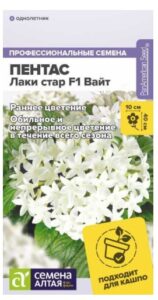 Пентас Лаки стар F1 Вайт ланцетовидный