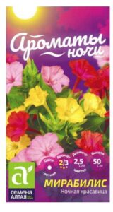 Мирабилис Ночная Красавица