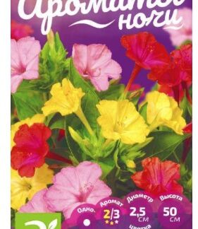 Мирабилис Ночная Красавица