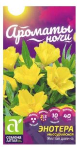Энотера Желтая долина миссурийская