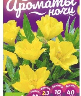 Энотера Желтая долина миссурийская