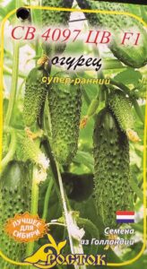 Огурец СВ 4097