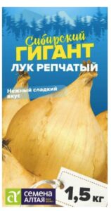 Лук Сибирский Гигант