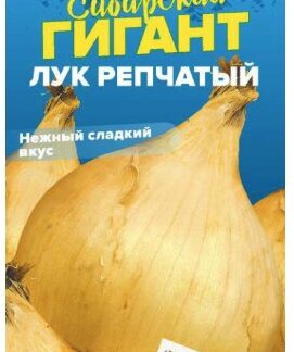 Лук Сибирский Гигант