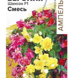 Бегония Шансон F1 смесь ампельная клубневая
