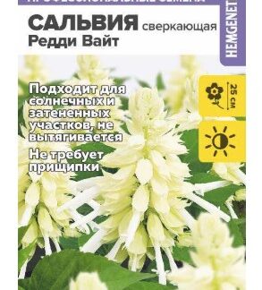 Цветы Сальвия Редди Вайт сверкающая