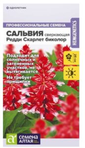 Цветы Сальвия Редди Скарлет биколор сверкающая