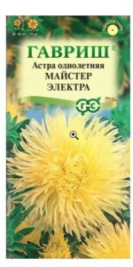 Астра Майстер Электра