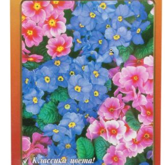 примула Ромео и джульета F1