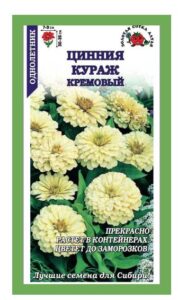Цинния Кураж Кремовый