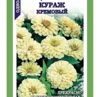 Цинния Кураж Кремовый