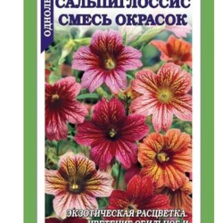 Сальпиглоссис Смесь окрасок